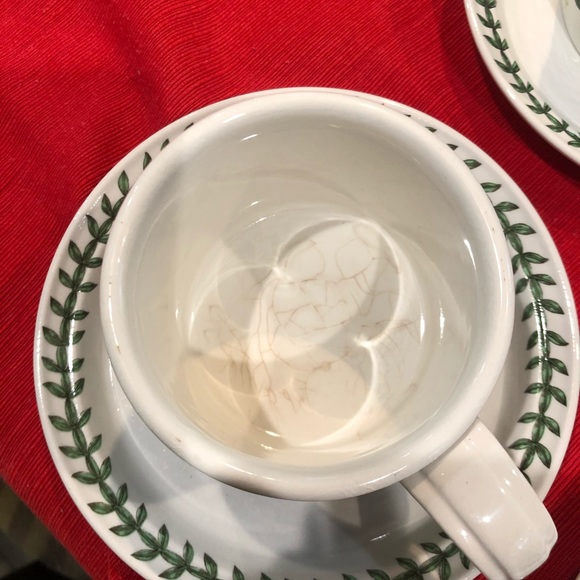 The Botanic Garden cup and saucer - Picture 9 of 12